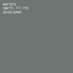 #6F7573 - Dove Gray Color Image
